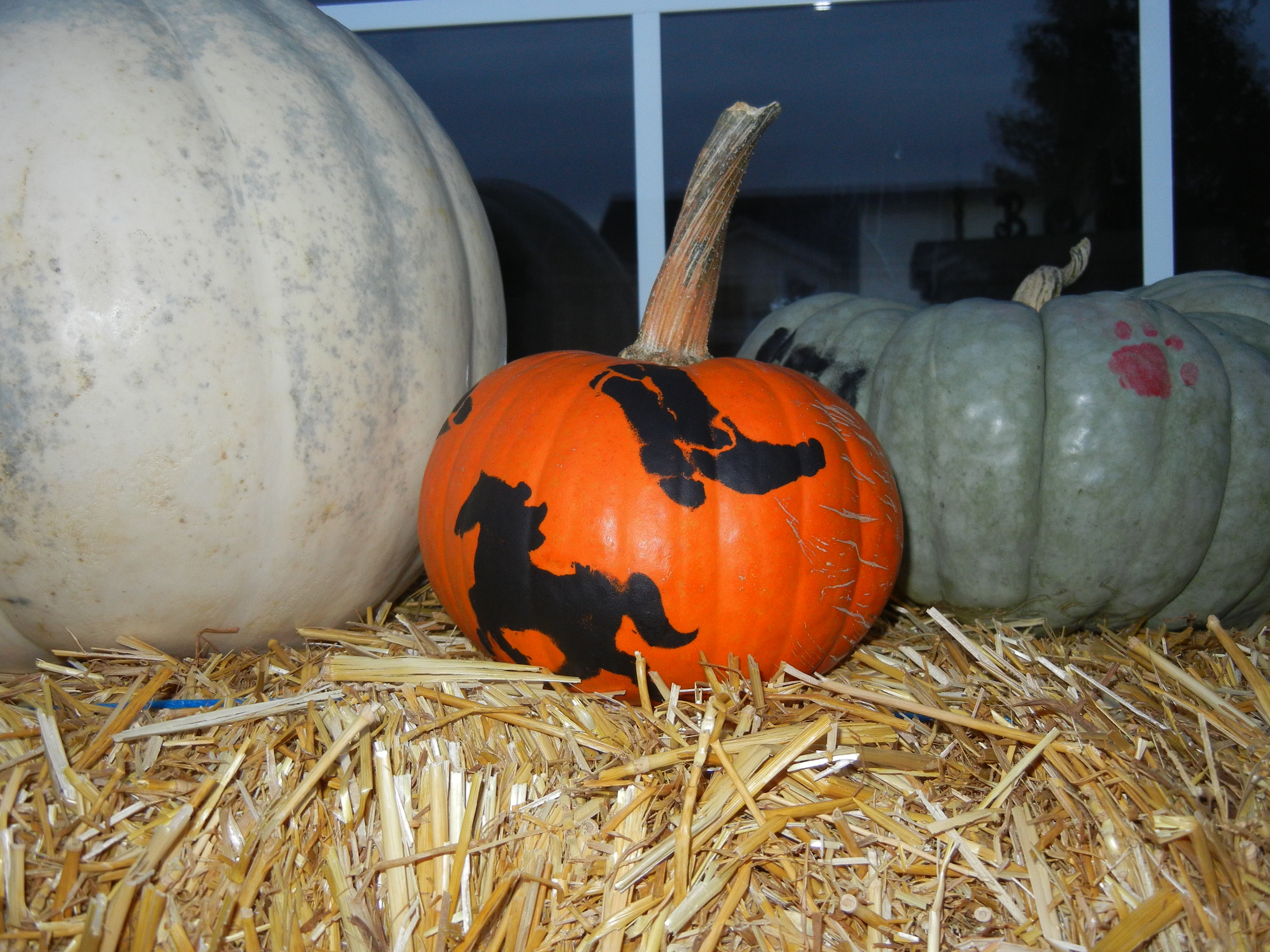 halloween-pumpkin-carving-and-paintingmom-it-forward