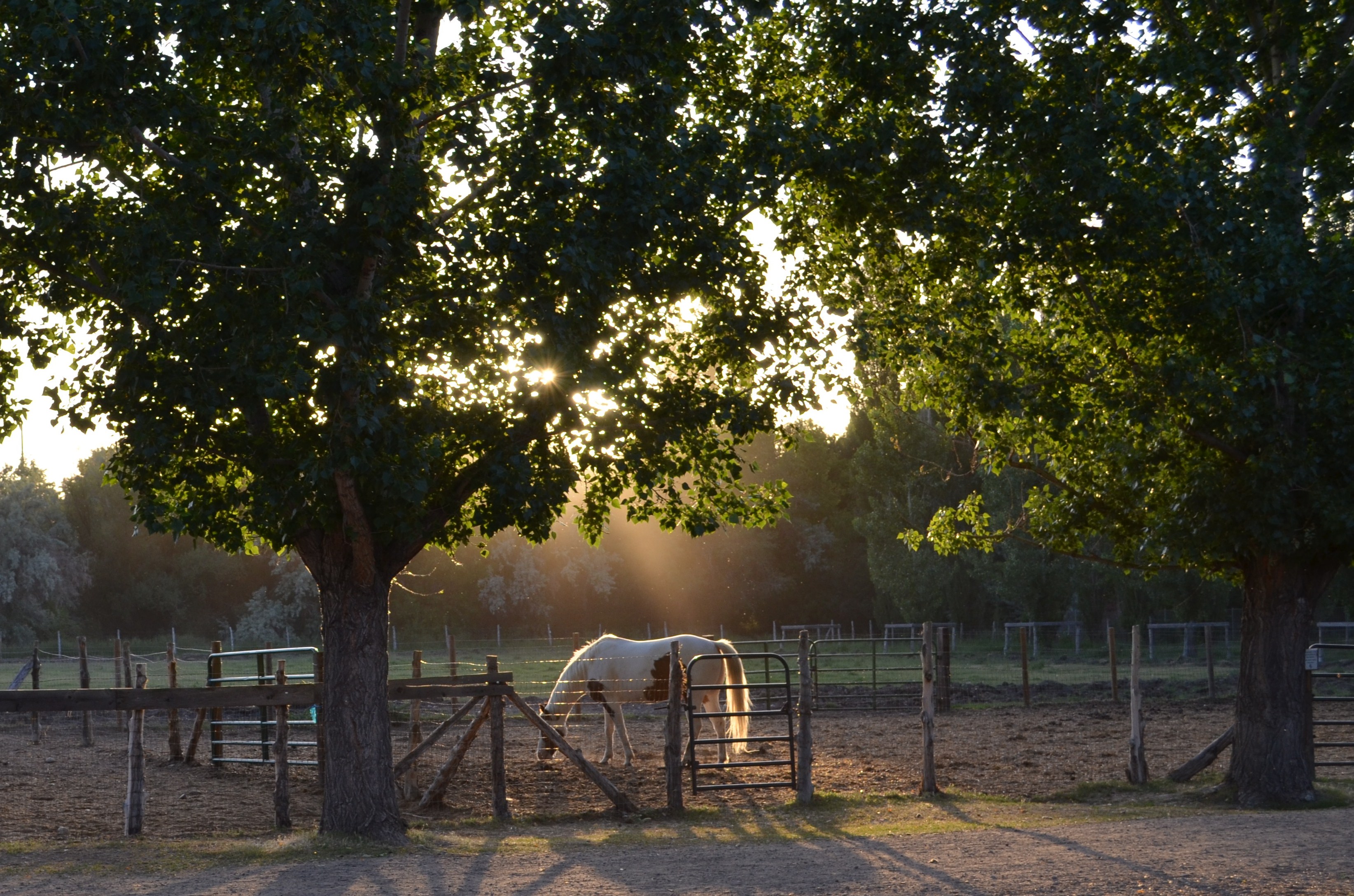 Photography Family Photo Walk at Utah's Wheeler Farm