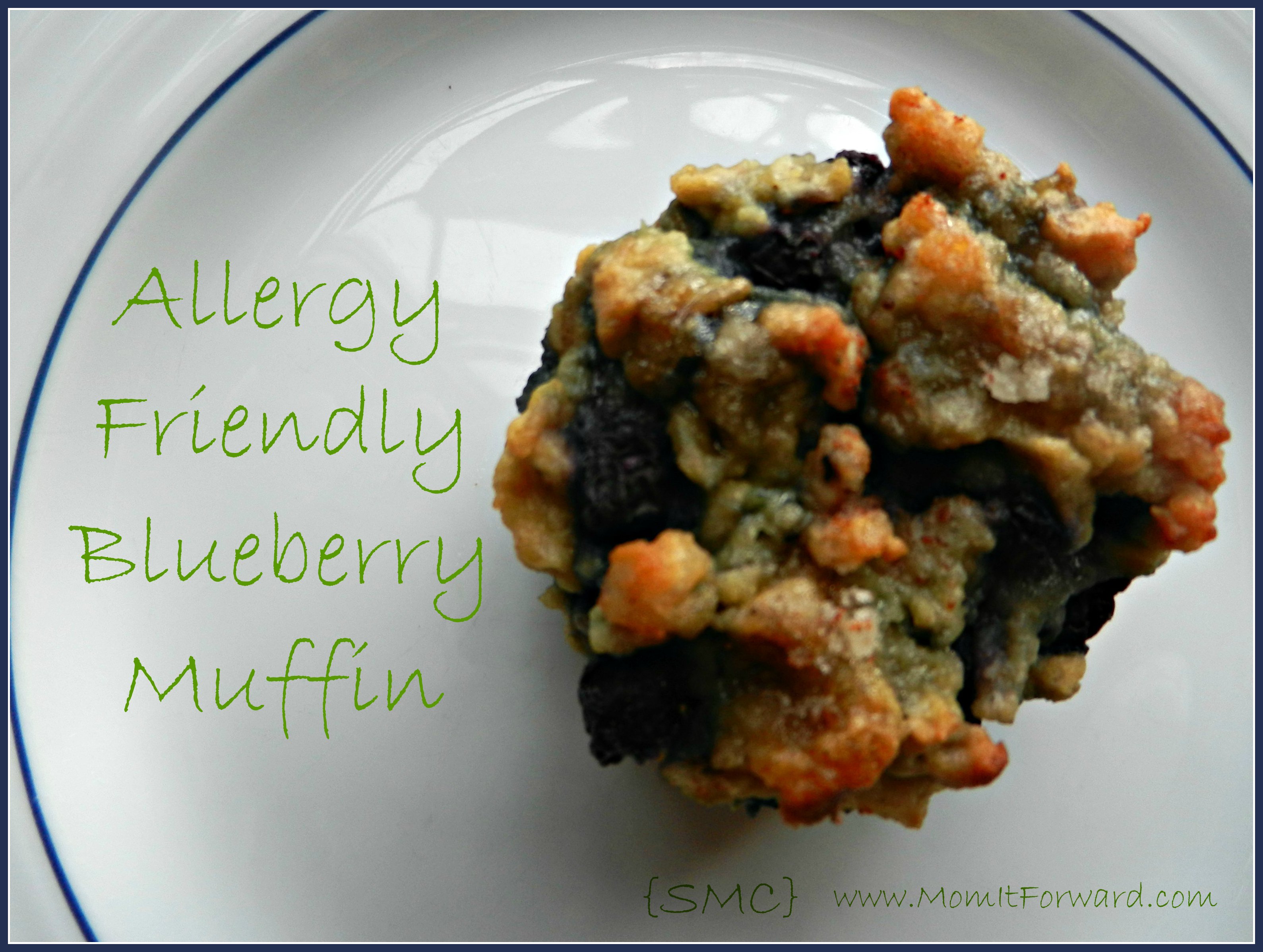 Allergy Friendly Blueberry Muffin Recipe Mom it ForwardMom it Forward