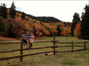 Three kids sitting on a wood fence in front of fall leaves