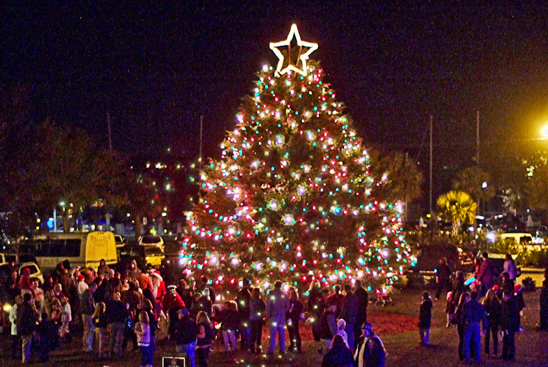 Downtown Tree Lighting Mom it ForwardMom it Forward