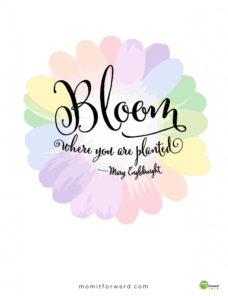 Quote: Bloom Where You Are Planted - Mom it Forward