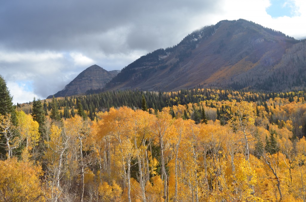 Fall Leaves Exploring Utah's Alpine LoopMom it Forward