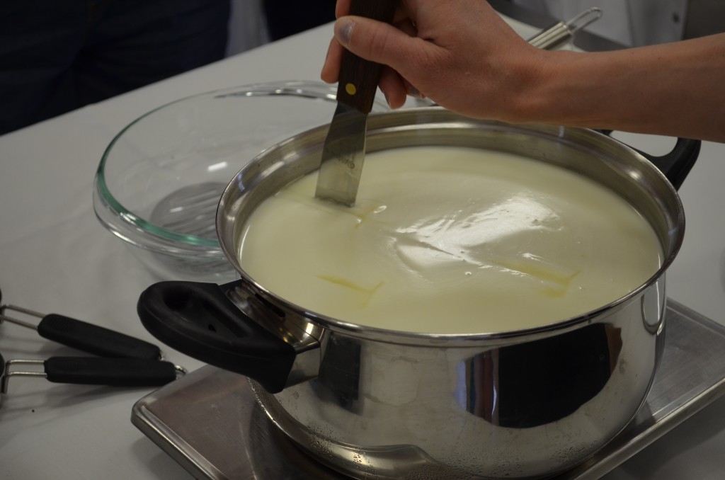 How to Make Mozzarella Cheese Recipe and Video Tutorial Mom it ForwardMom it Forward
