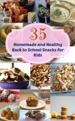 35 Homemade and Healthy Back to School Snacks for Kids - Mom it ...