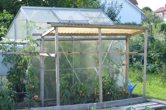 5 Inspiring Ideas from German Urban Gardens - Mom it ForwardMom it Forward