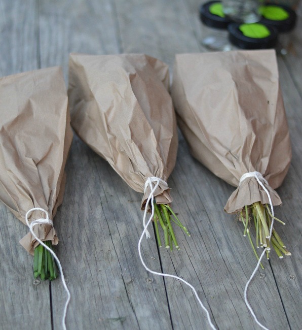 How to Dry Garden Herbs Mom it ForwardMom it Forward
