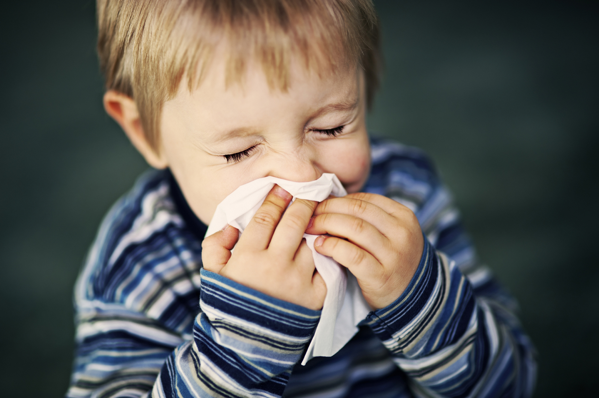 How To Reduce Allergens In Your Home Mom It Forwardmom It Forward