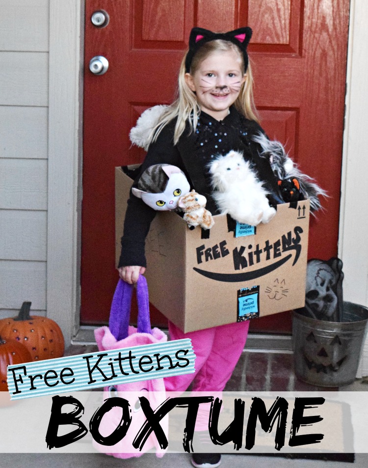 Free Kittens
